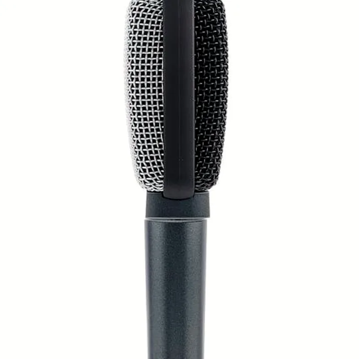 Avis, Test micro Sennheiser E609 Silver