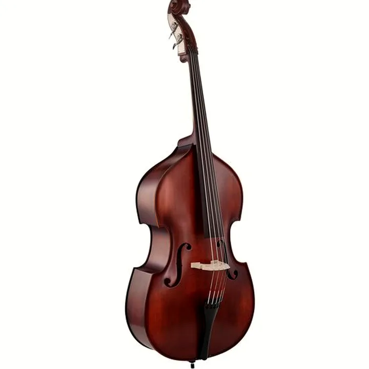Test et Avis : Thomann 33AS/5str. 3/4 Europe Bass