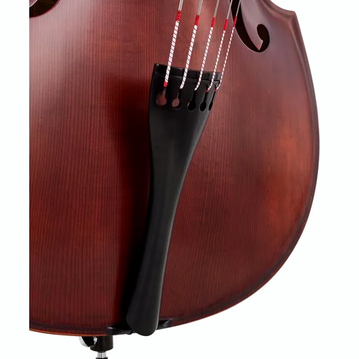 Test et Avis : Thomann 33AS/5str. 3/4 Europe Bass
