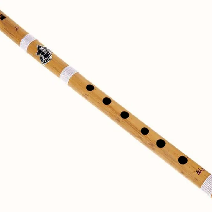 Test et Avis : Thomann Nataraj Bansuri Straight D