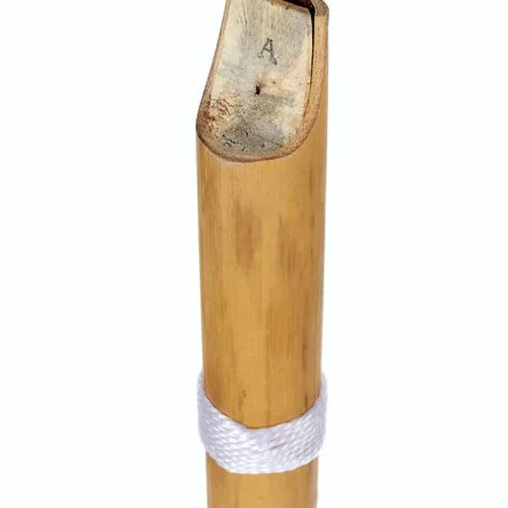 Test et Avis : Thomann Nataraj Bansuri Straight D