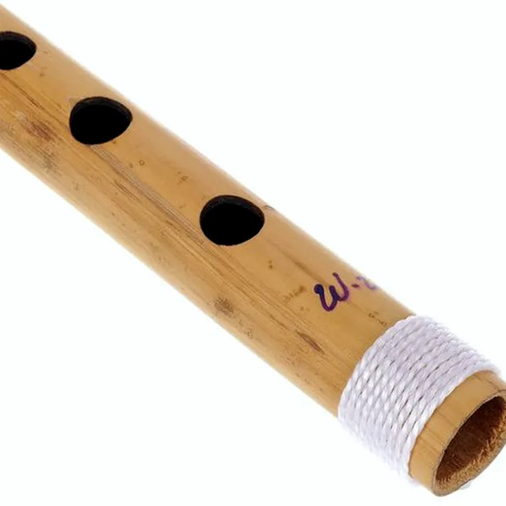 Test et Avis : Thomann Nataraj Bansuri Straight D
