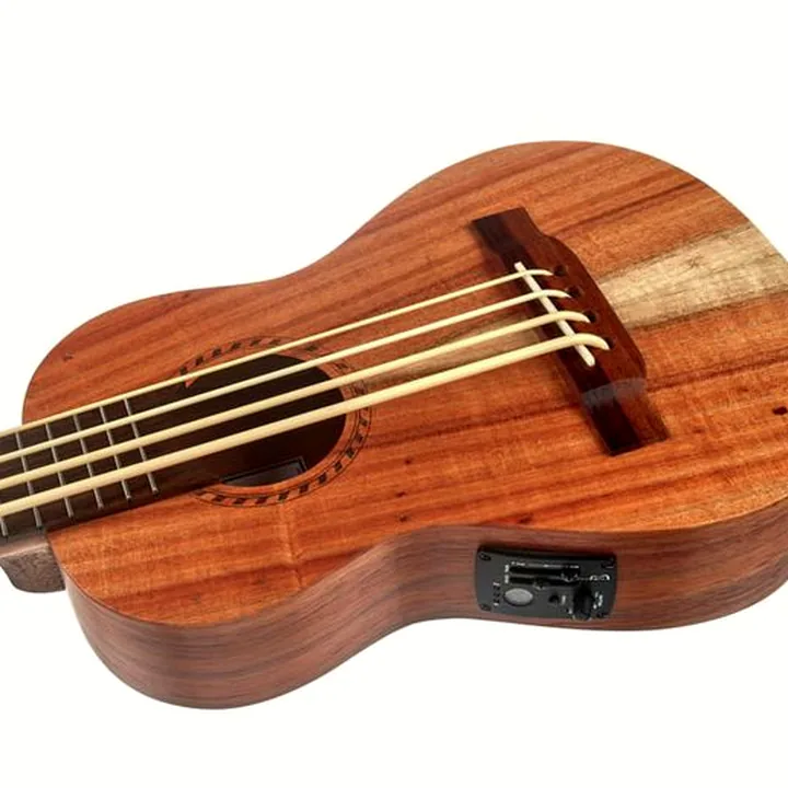 Test et Avis : Thomann Ukulele Bass Standard