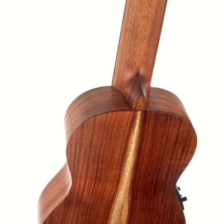 Test et Avis : Thomann Ukulele Bass Standard