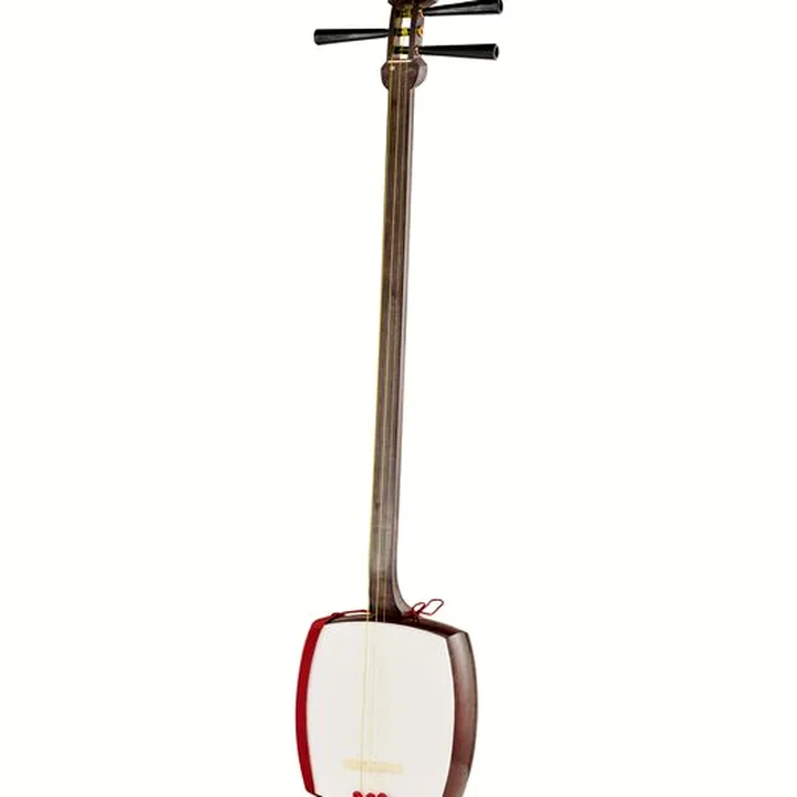 Test et Avis : Zenon ZSM-10 Student Shamisen Set