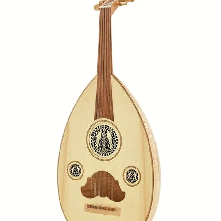 Thomann Arabian Oud De Luxe – Test, Comparatif, Avis