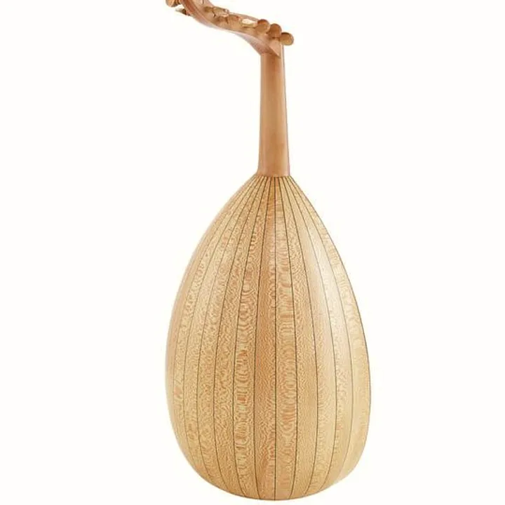 Thomann Arabian Oud De Luxe – Test, Comparatif, Avis