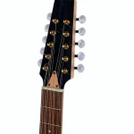Thomann Artist Irish Bouzouki 10S-PU / Test, Avis et Comparatif