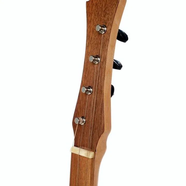 Thomann Dulcimer Banjo / Comparatif, Avis & Test