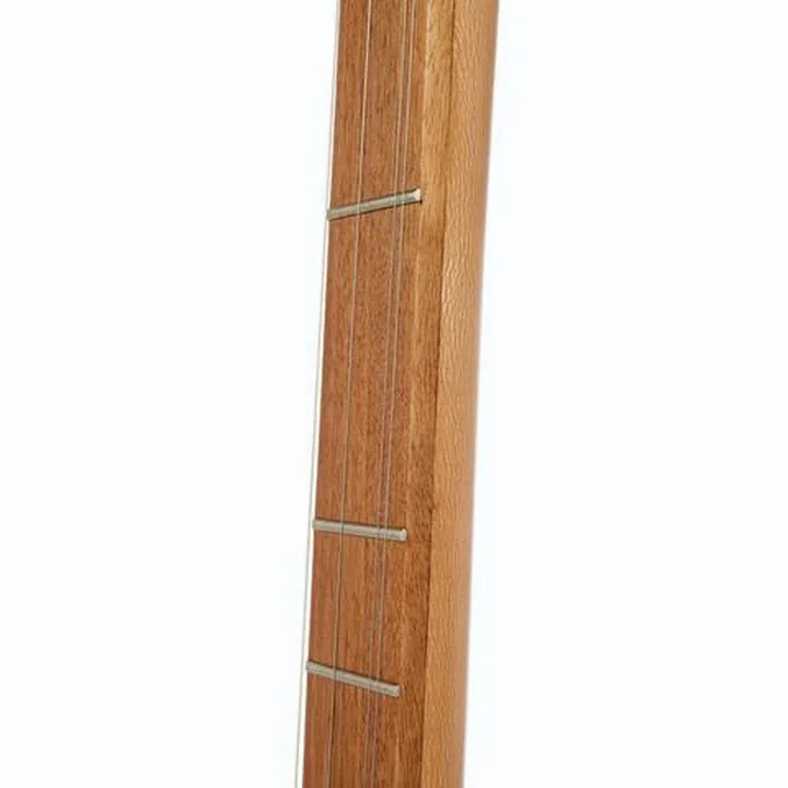 Thomann Dulcimer Banjo / Comparatif, Avis & Test