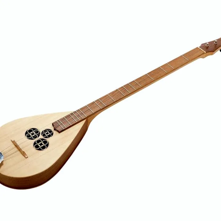 Thomann Dulcimer Banjo / Comparatif, Avis & Test