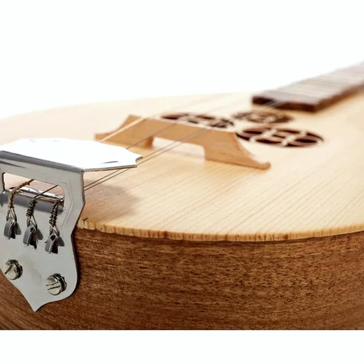 Thomann Dulcimer Banjo / Comparatif, Avis & Test