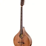 Thomann Irish Concert Bouzouki A-P Avis, Comparatif, Test