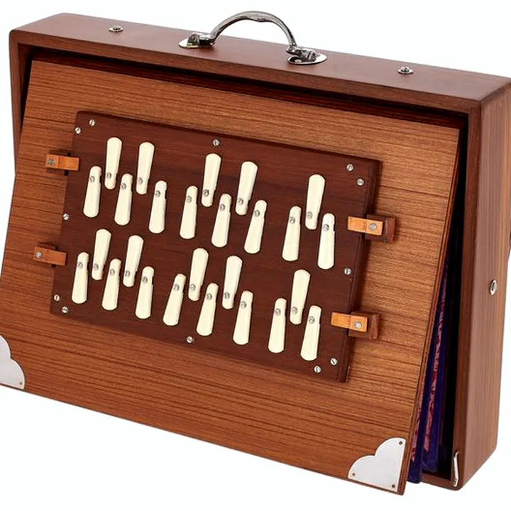 Thomann Nataraj Prof. Shruti 2 Octaves : Comparatif, Test & Avis