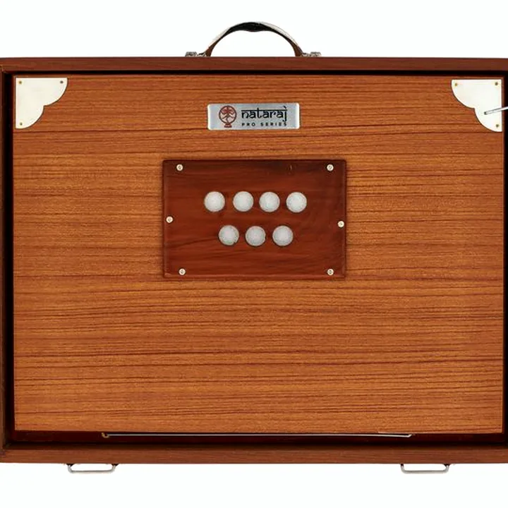 Thomann Nataraj Prof. Shruti G-G 432Hz / Avis, Comparatif et Test