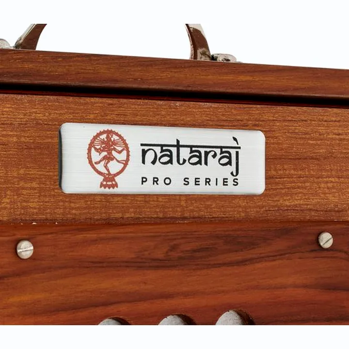 Thomann Nataraj Shruti C-C Small 432Hz : Test & Avis