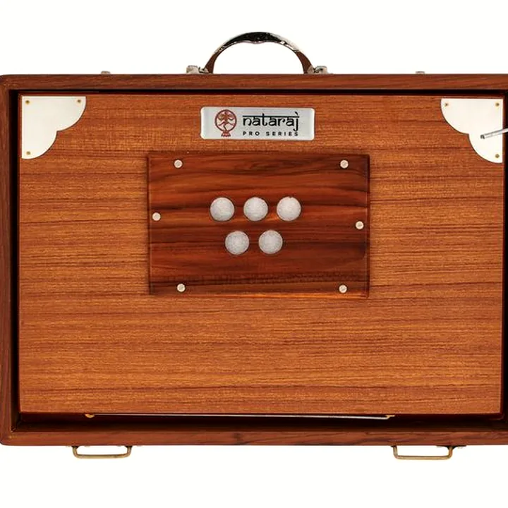 Thomann Nataraj Shruti C-C Small 432Hz : Test & Avis