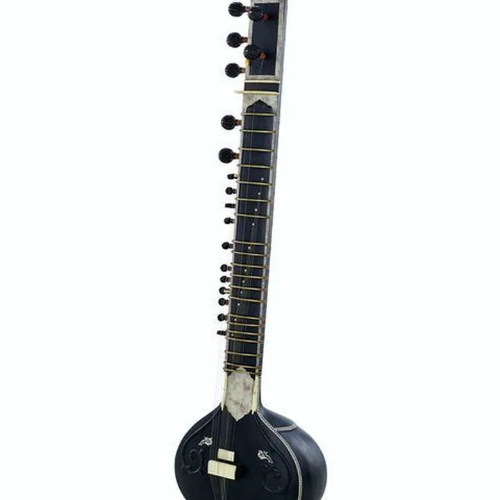 Thomann Nataraj Sitar Vilayat Khan BK Test, Comparatif et Avis