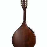 Thomann Portuguese Mandolin 1A-P Avis, Test & Comparatif