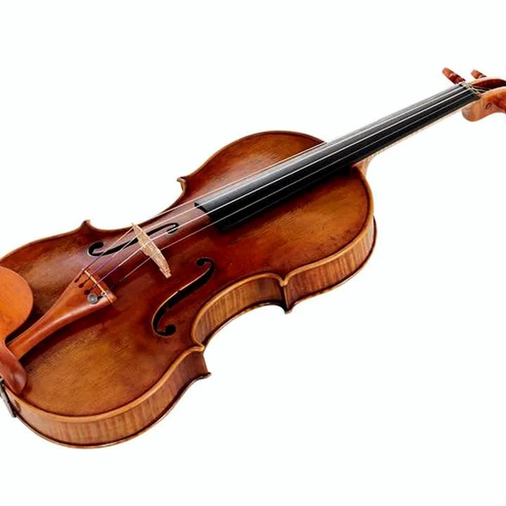 Violon Andrea Varazzani Violin Model Guarneri Ysaye / Comparatif, Test & Avis