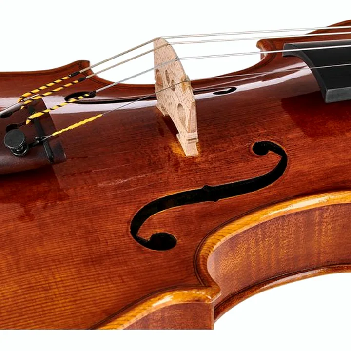 Violon Bernd Hiller & Sohn Francesco Rugeri Violin 4/4 Test, Avis et Comparatif
