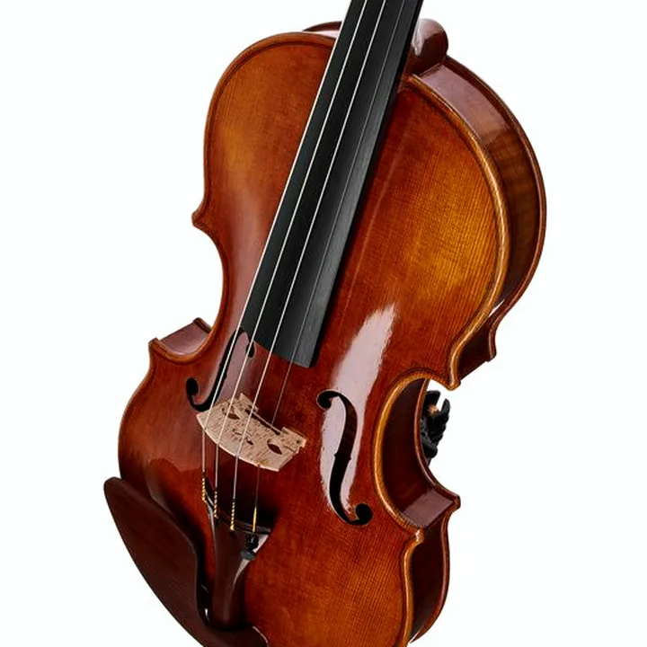 Violon Bernd Hiller & Sohn Francesco Rugeri Violin 4/4 Test, Avis et Comparatif