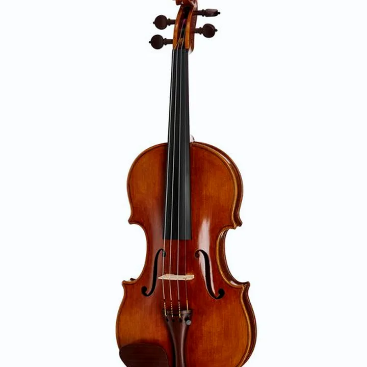 Avis & Test : Bernd Hiller & Sohn G.B. Guadagnini Violin 4/4