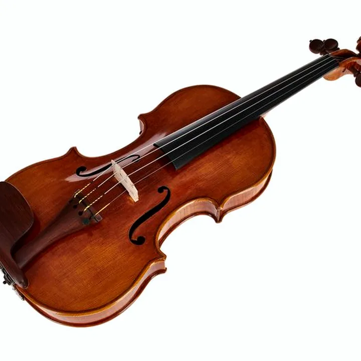 Avis & Test : Bernd Hiller & Sohn G.B. Guadagnini Violin 4/4