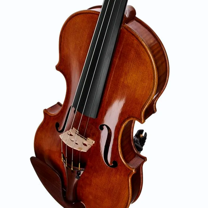 Avis & Test : Bernd Hiller & Sohn G.B. Guadagnini Violin 4/4
