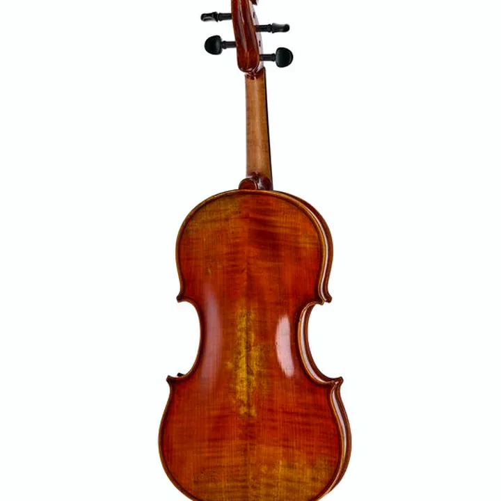 Violon Eastman Albert Nebel Violin VL601G+ – Avis, Comparatif et Test