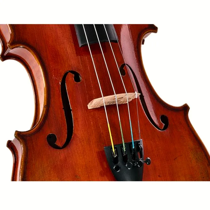 Violon Eastman Albert Nebel Violin VL601G+ – Avis, Comparatif et Test