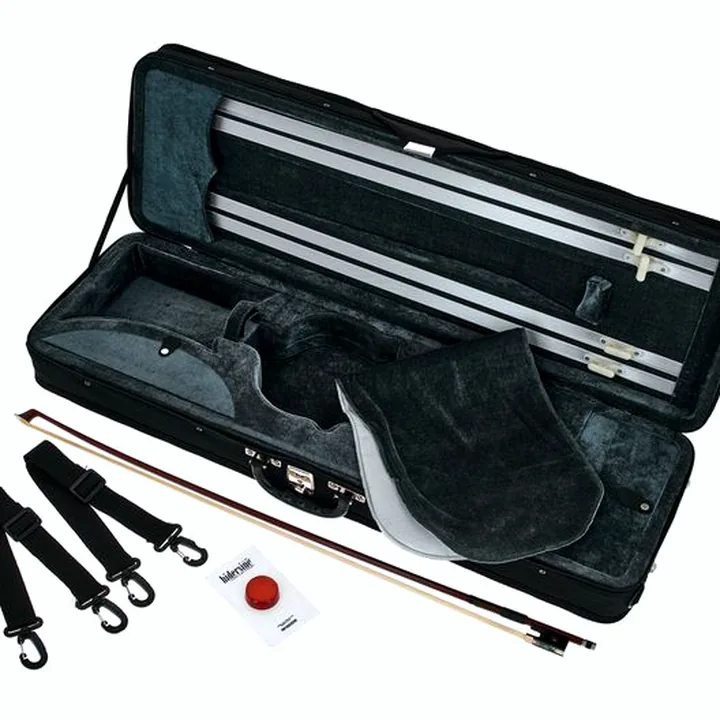 Violon Hidersine Melodioso Violin Set Guarneri – Avis et Test