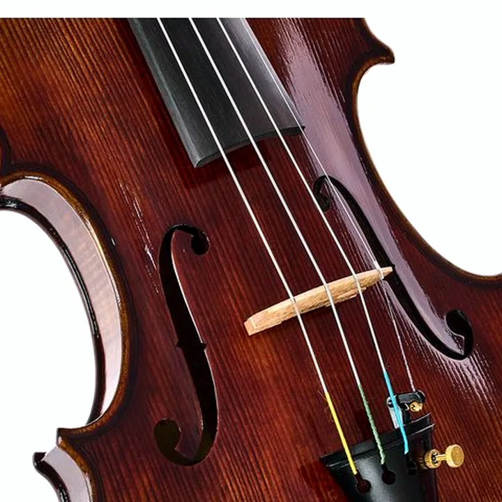 Violon Hidersine Melodioso Violin Set Guarneri – Avis et Test