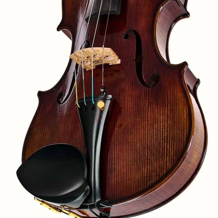 Violon Hidersine Melodioso Violin Set Guarneri – Avis et Test