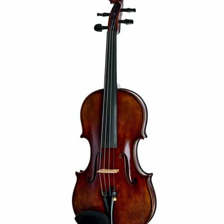 Violon Hidersine Melodioso Violin Set Guarneri – Avis et Test