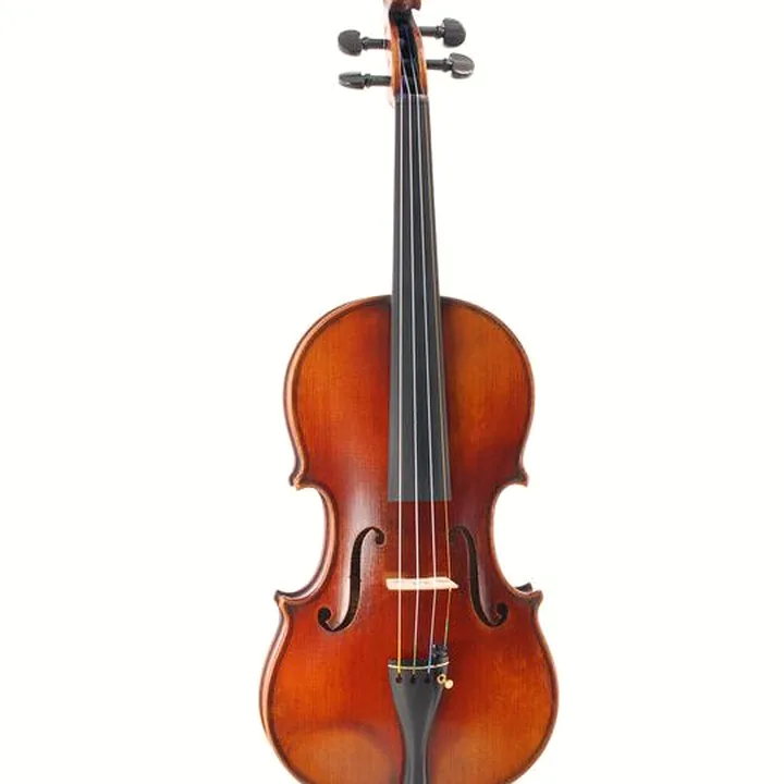 Le violon Karl Höfner H225-CB-V Carlo Bergonzi , Comparatif, Avis & Test