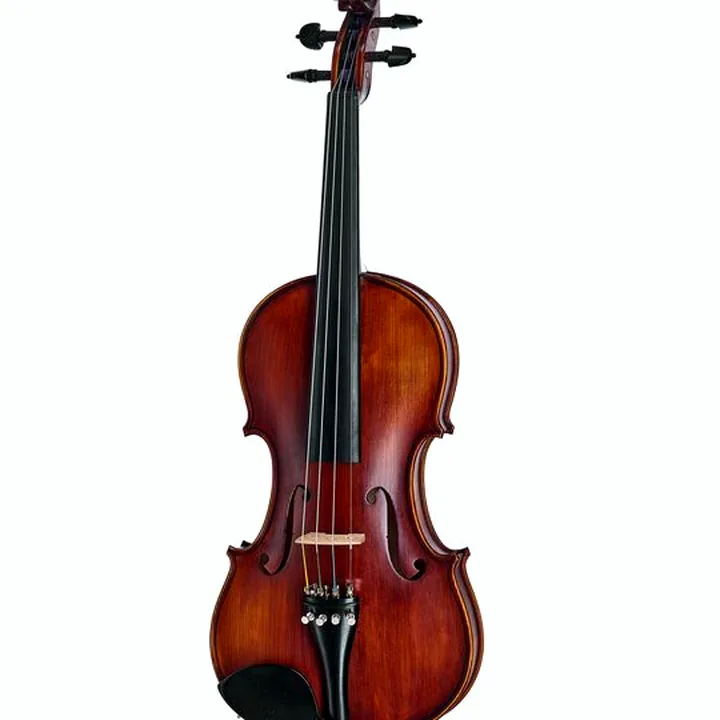 Violon Roth & Junius Europe Orchestra Violin Set GE Comparatif, Test, Avis