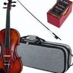 Violon Roth & Junius Europe Orchestra Violin Set GE Comparatif, Test, Avis
