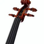 Le violon Scala Vilagio H.L. Guarneri del G. Classic B / Avis, Comparatif & Test