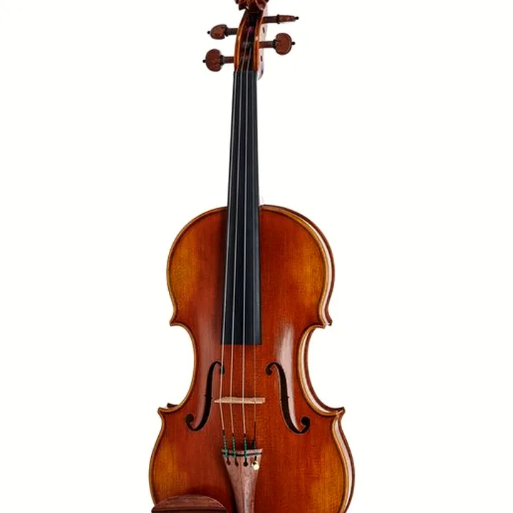 Avis et Test du violon Scala Vilagio R.O. Guarneri Avance Solo