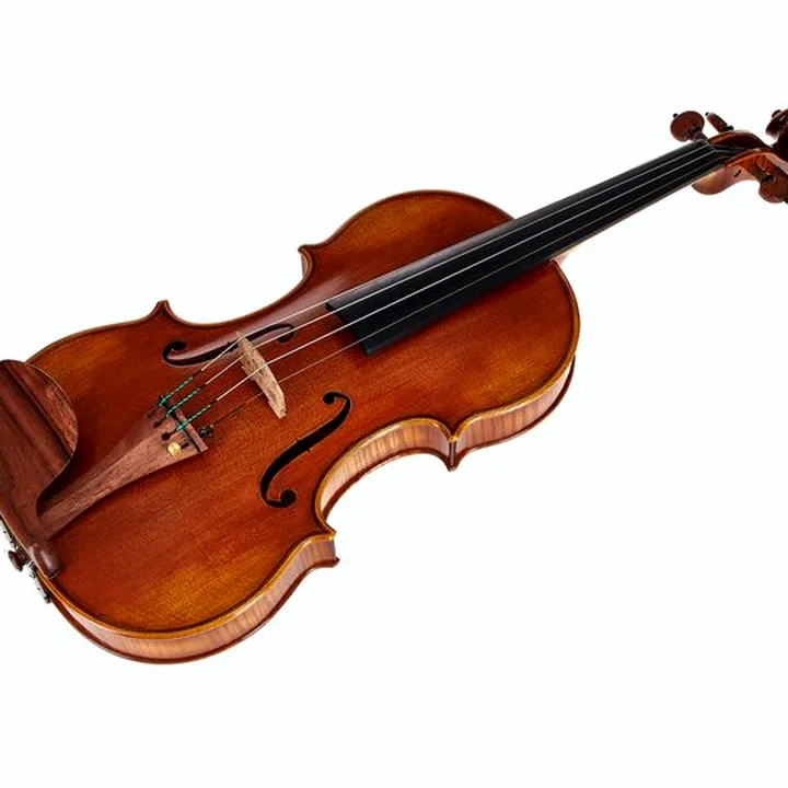 Avis et Test du violon Scala Vilagio R.O. Guarneri Avance Solo
