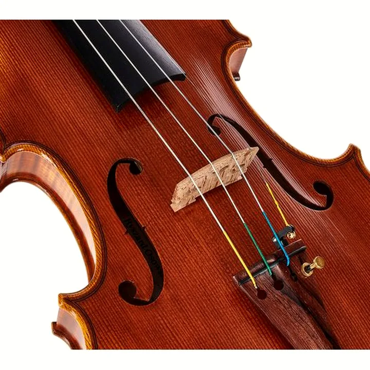 Le violon Scala Vilagio R.O. Stradivari Avance Solo , Test, Avis
