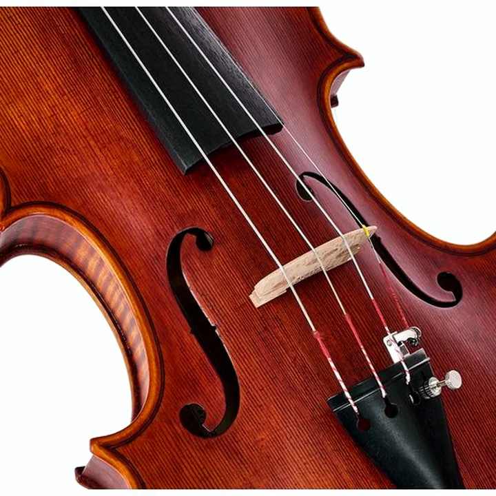 Violon Stentor SR1995 Violin Amati 4/4 , Avis, Test