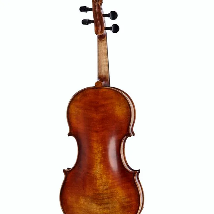 Test et Avis : Walter Mahr Lion`s Head Violin 4/4