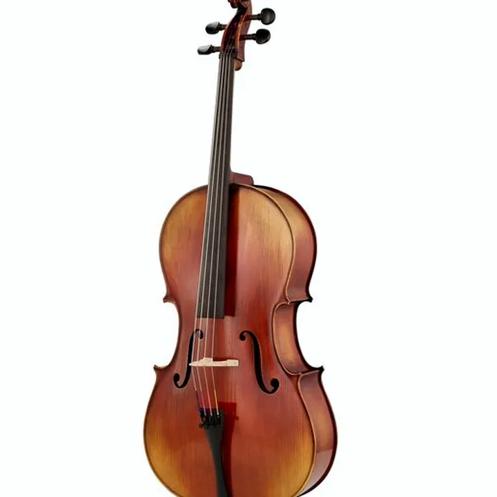 Violoncelle Gewa Allegro VC1 A Cello 1/2 SB Avis, Test & Comparatif