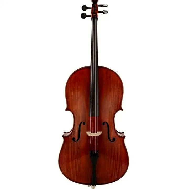 Violoncelle Gewa Georg Walther Concert Cello MO : Avis, Test, Comparatif