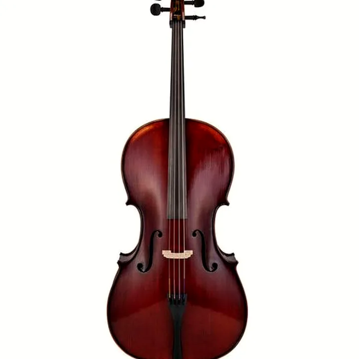 Violoncelle Gewa Germania 11L Rom Ant. Cello Avis, Test et Comparatif