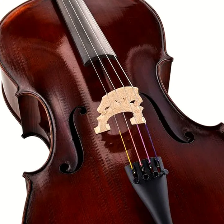 Violoncelle Gewa Germania 11L Rom Ant. Cello Avis, Test et Comparatif
