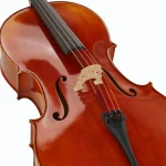 Violoncelle Gewa Maestro 1 Cello 3/4 – Test, Avis et Comparatif