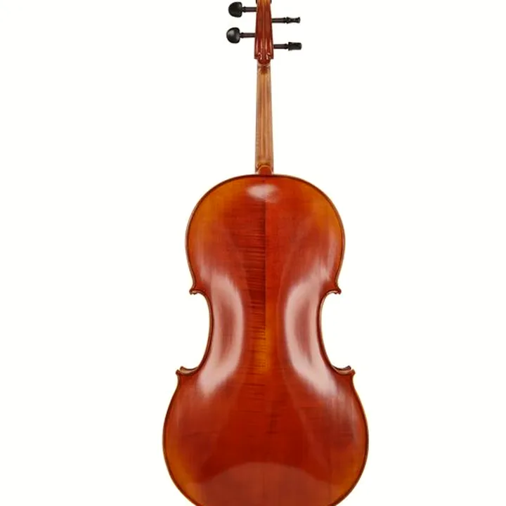 Violoncelle Gewa Maestro 1 Cello 3/4 – Test, Avis et Comparatif